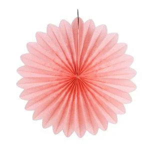 Pink Paper Fan